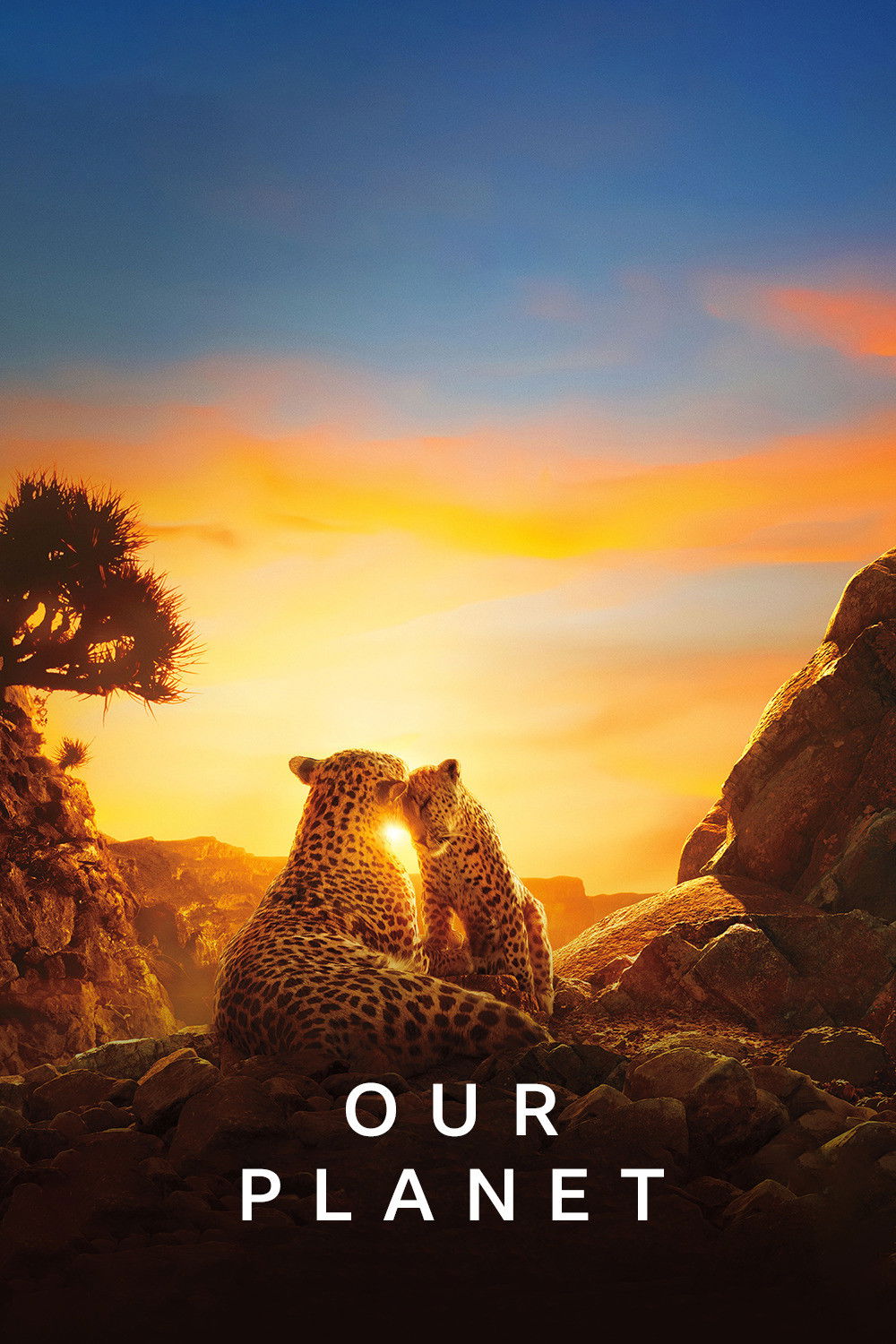 Our Planet (2019) [87253] (A1772274309) [[Shows 2.0]] --Plex--